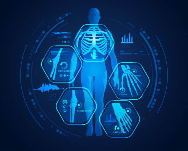 graphic of man’s body x-ray with digital science interface of skeleton and bones scan for biological infographics graphic of man’s body x-ray with digital science interface of skeleton and bones scan for biological infographics
